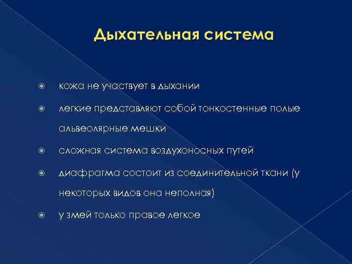 Дыхательная система кожа не участвует в дыхании легкие представляют собой тонкостенные полые альвеолярные мешки