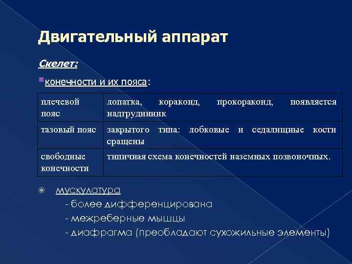Двигательный аппарат Скелет: §конечности и их пояса: плечевой пояс лопатка, коракоид, надгрудинник тазовый пояс
