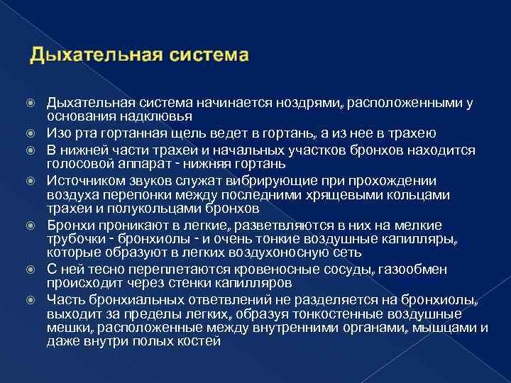 Дыхательная система Дыхательная система начинается ноздрями, расположенными у основания надклювья Изо рта гортанная щель