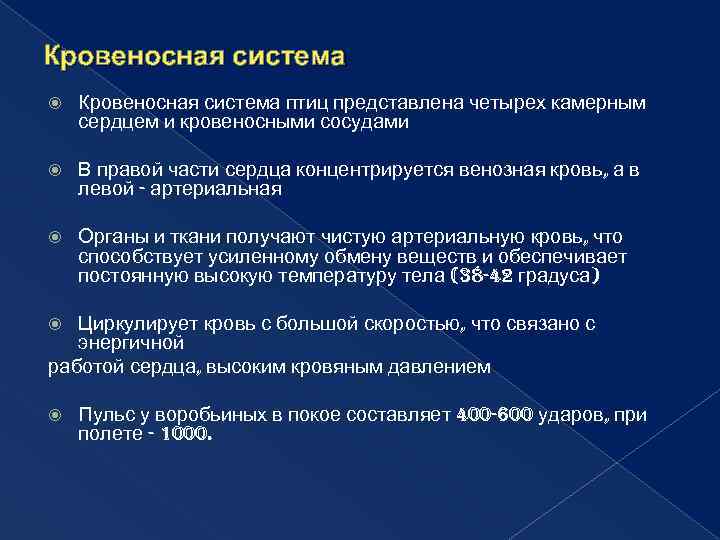 Кровеносная система птиц представлена четырех камерным сердцем и кровеносными сосудами В правой части сердца