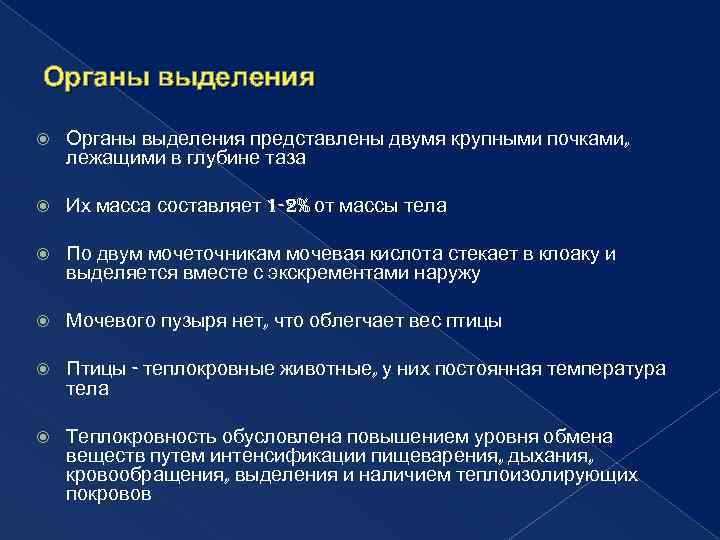 Органы выделения представлены двумя крупными почками, лежащими в глубине таза Их масса составляет 1