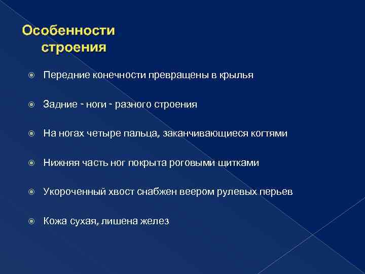 Особенности строения Передние конечности превращены в крылья Задние - ноги - разного строения На