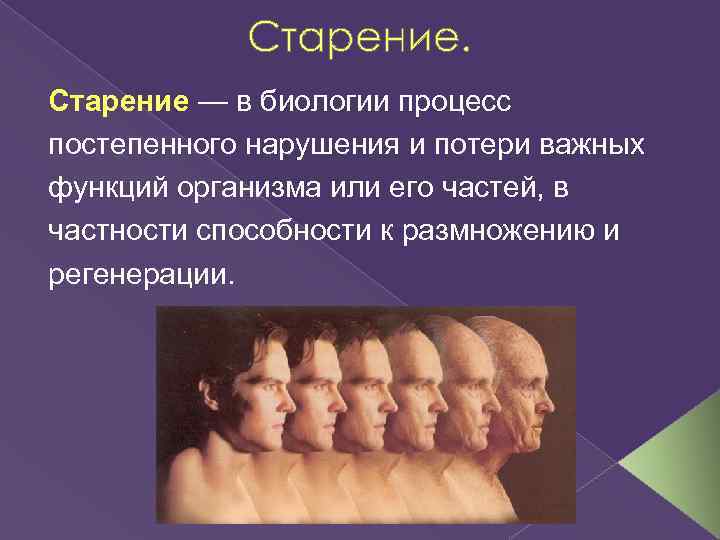 Психологические аспекты старения человека