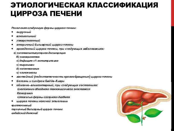 ЭТИОЛОГИЧЕСКАЯ КЛАССИФИКАЦИЯ ЦИРРОЗА ПЕЧЕНИ Различают следующие формы цирроза печени: вирусный алкогольный лекарственный вторичный билиарный