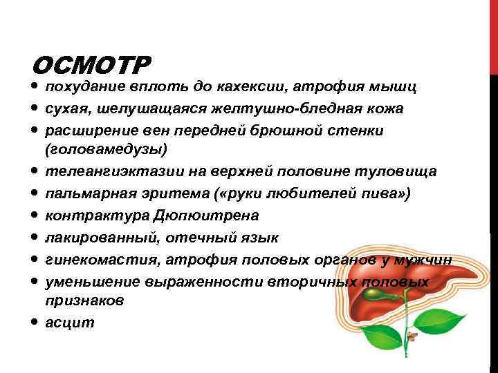 ОСМОТР похудание вплоть до кахексии, атрофия мышц сухая, шелушащаяся желтушно-бледная кожа расширение вен передней