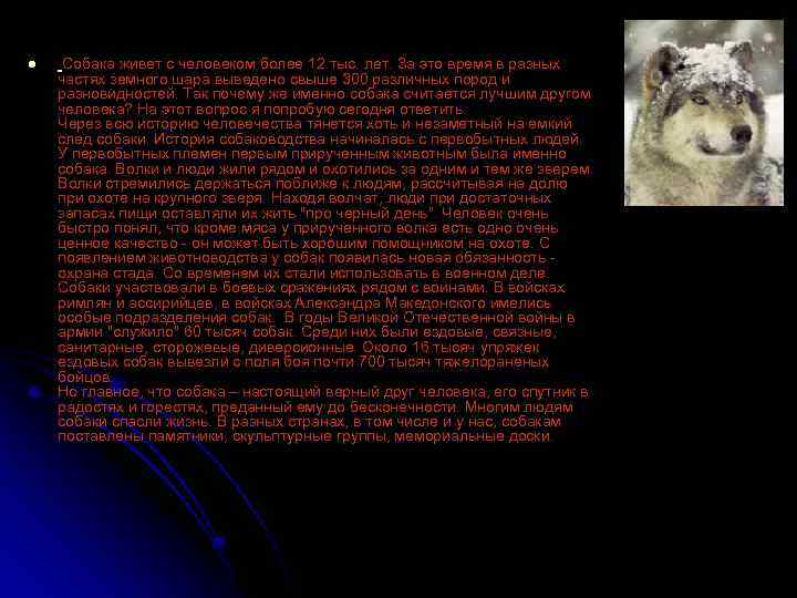 l Собака живет с человеком более 12 тыс. лет. За это время в разных