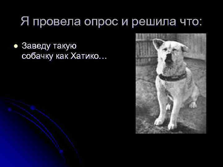 Я провела опрос и решила что: l Заведу такую собачку как Хатико… 