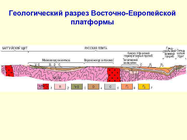 Геологический разрез Восточно-Европейской платформы 