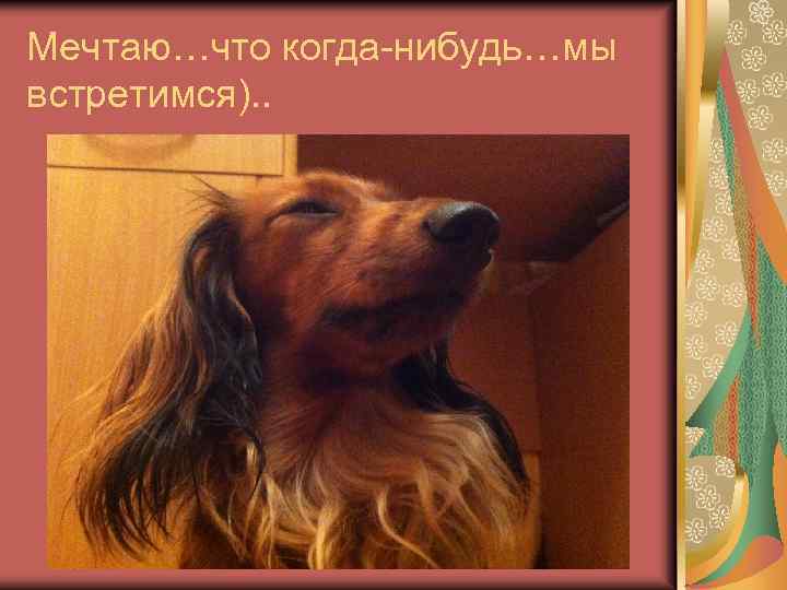 Мечтаю…что когда-нибудь…мы встретимся). . 