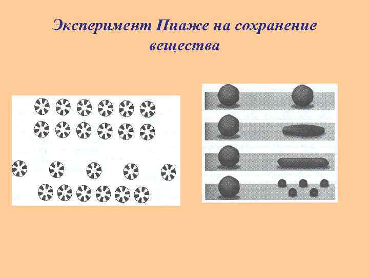 Эксперимент Пиаже на сохранение вещества 