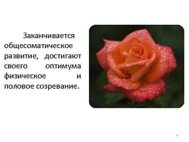 Заканчивается общесоматическое развитие, достигают своего оптимума физическое и половое созревание. 4 