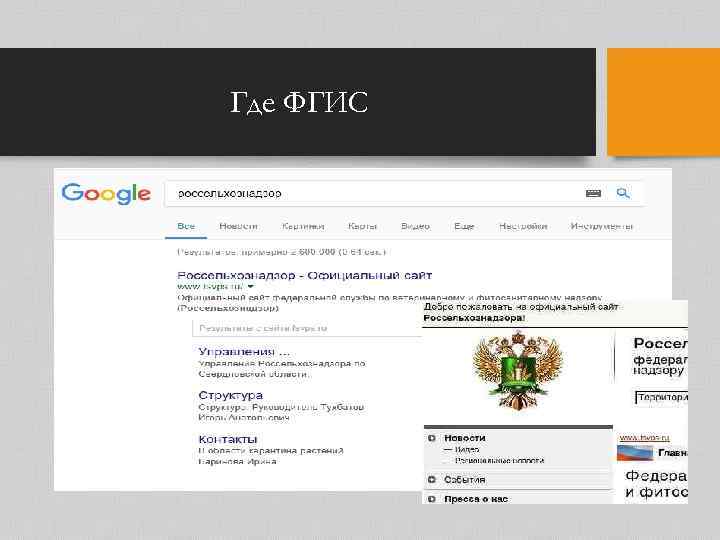 Где ФГИС 
