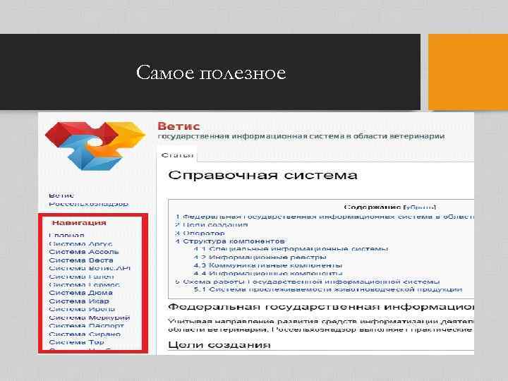 Самое полезное 