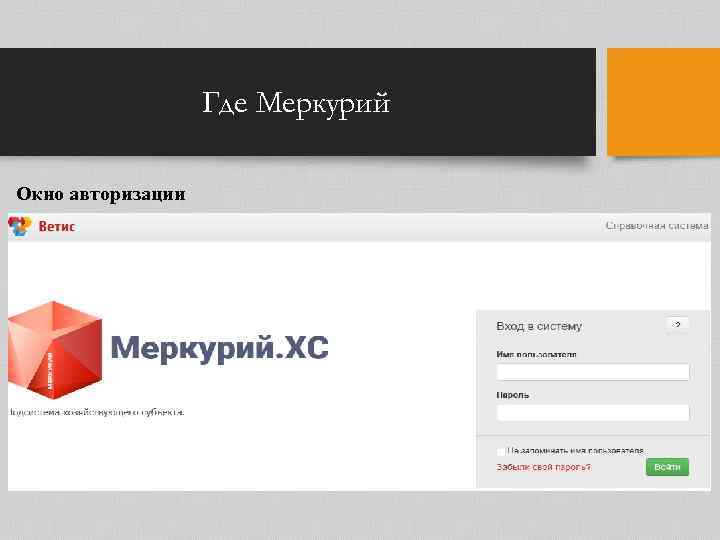 Где Меркурий Окно авторизации 