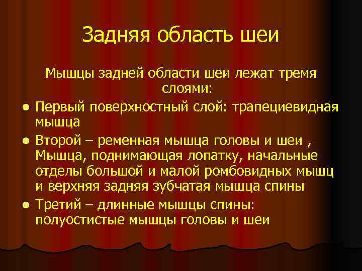 Задняя область шеи Мышцы задней области шеи лежат тремя слоями: l Первый поверхностный слой: