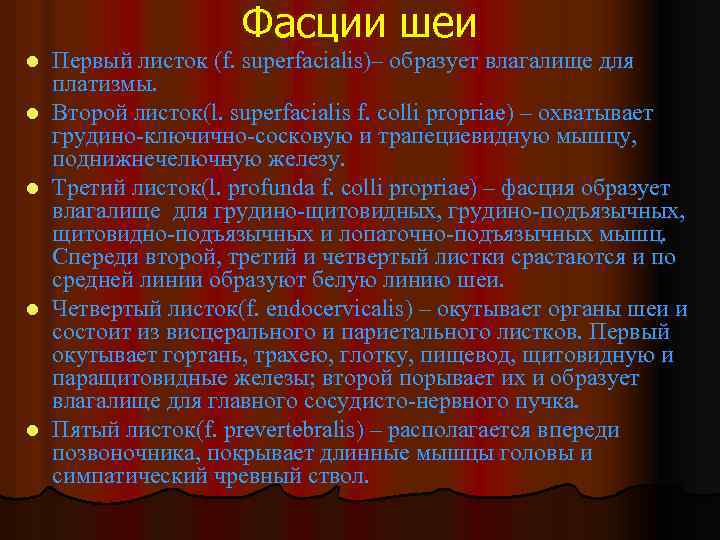 Фасции шеи l l l Первый листок (f. superfacialis)– образует влагалище для платизмы. Второй