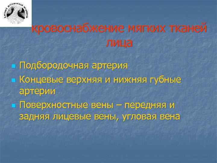 кровоснабжение мягких тканей лица n n n Подбородочная артерия Концевые верхняя и нижняя губные