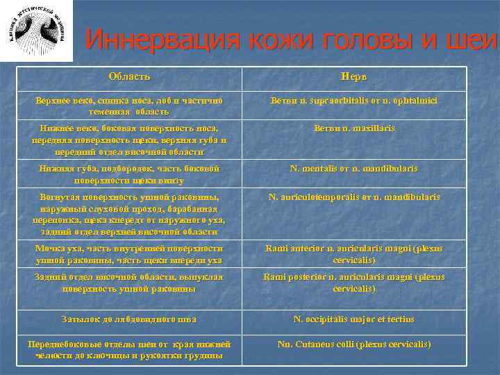 Иннервация кожи головы и шеи Область Нерв Верхнее веко, спинка носа, лоб и частично