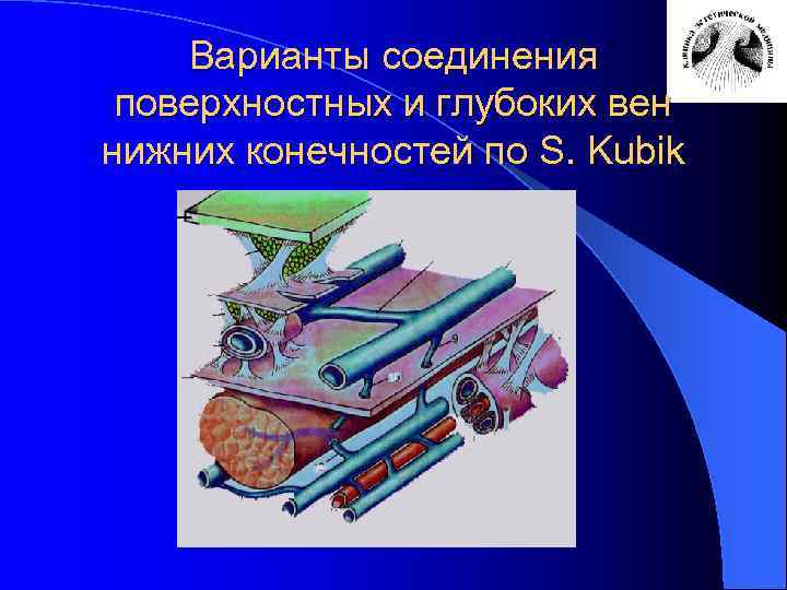 Варианты соединения поверхностных и глубоких вен нижних конечностей по S. Kubik 