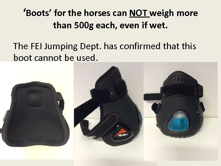 ‘Boots’ for the horses can NOT weigh more than 500 g each, even if