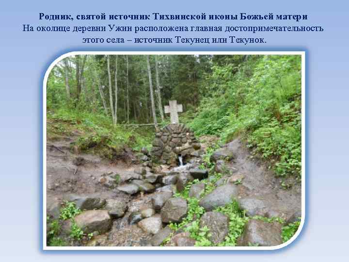 Родник, святой источник Тихвинской иконы Божьей матери На околице деревни Ужин расположена главная достопримечательность
