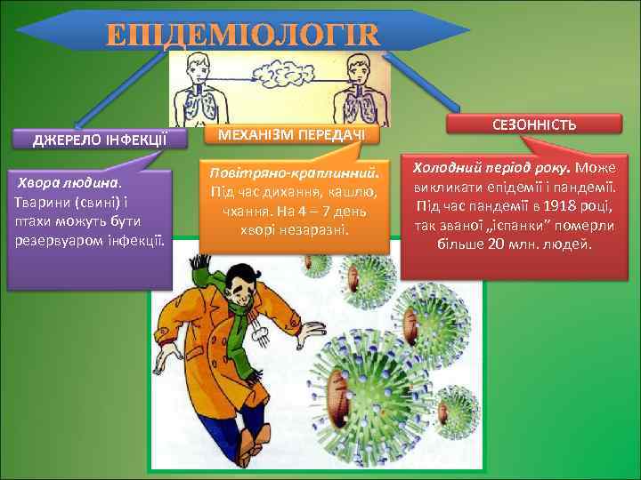 ЕПІДЕМІОЛОГІЯ ДЖЕРЕЛО ІНФЕКЦІЇ Хвора людина. Тварини (свині) і птахи можуть бути резервуаром інфекції. МЕХАНІЗМ