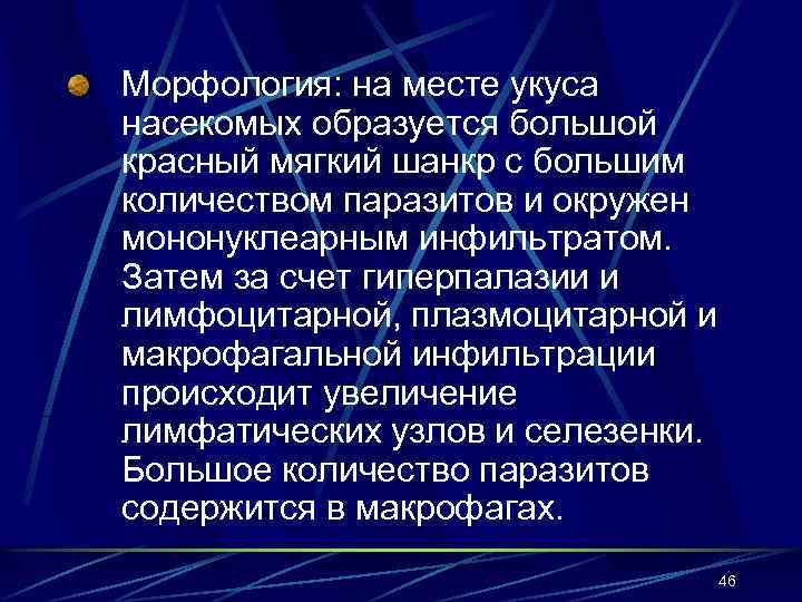 Морфология: на месте укуса насекомых образуется большой красный мягкий шанкр с большим количеством паразитов