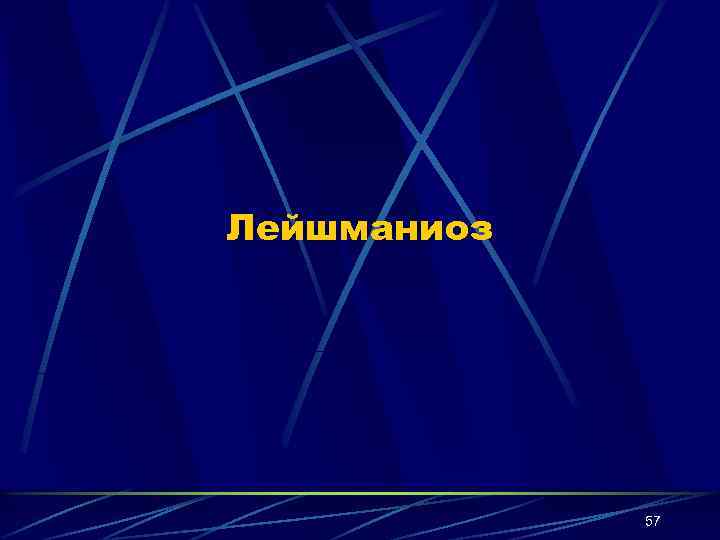 Лейшманиоз 57 