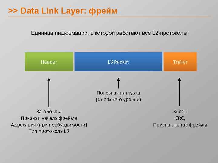 >> Data Link Layer: фрейм Единица информации, с которой работают все L 2 -протоколы