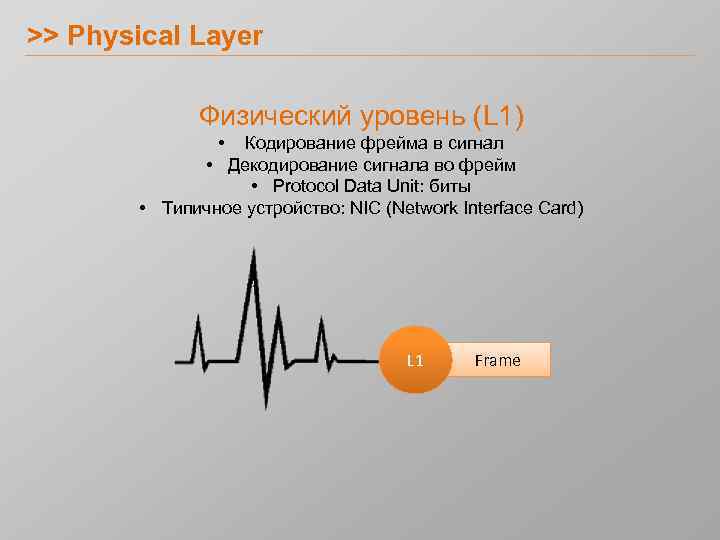 >> Physical Layer Физический уровень (L 1) • Кодирование фрейма в сигнал • Декодирование