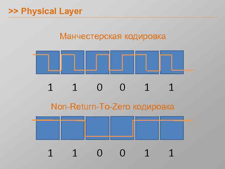 >> Physical Layer Манчестерская кодировка 1 1 0 0 1 1 Non-Return-To-Zero кодировка 1