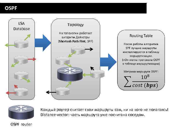 OSPF LSA Database Topology На топологии работает алгоритм Дейкстры (Shortesh Path First, SPF) Каждый