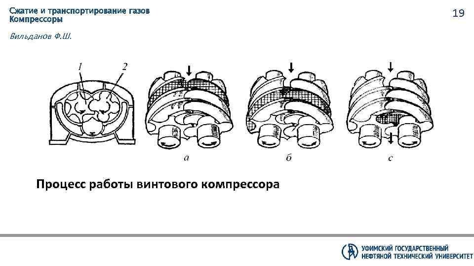 Сжатие и транспортирование газов Компрессоры Вильданов Ф. Ш. Процесс работы винтового компрессора 19 