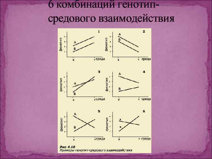 6 комбинаций генотипсредового взаимодействия 