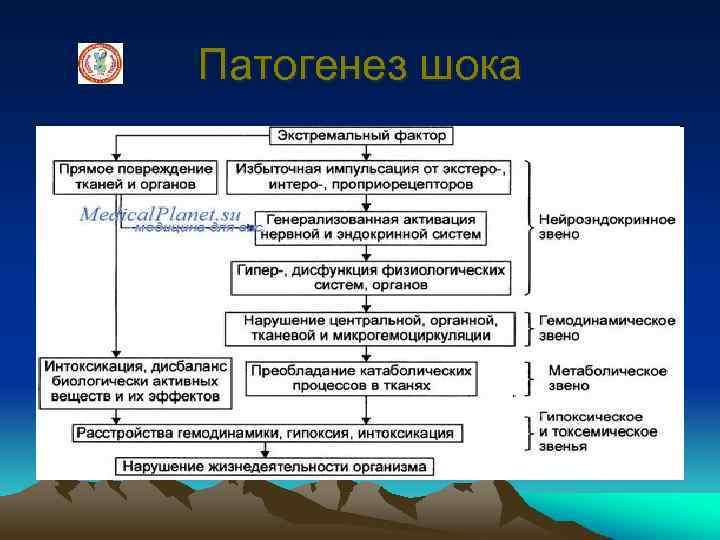 Патогенез шока 
