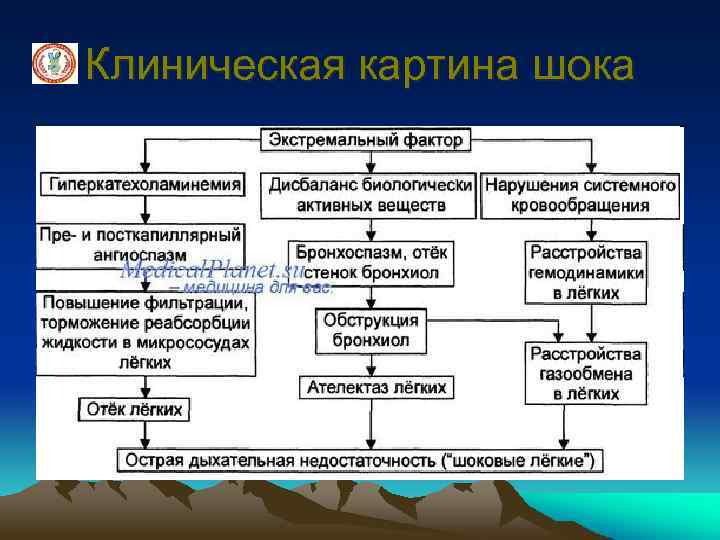 Клиническая картина шока 