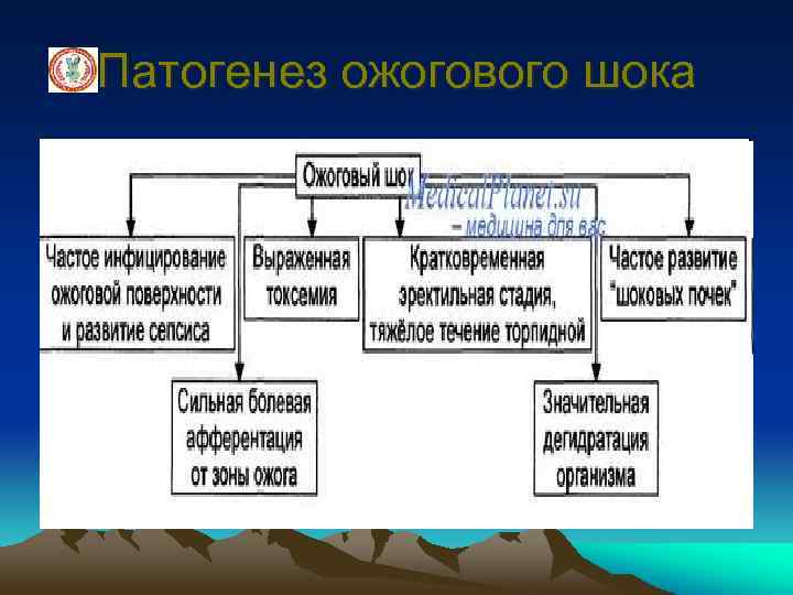 Патогенез ожогового шока 
