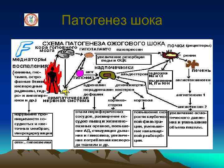 Патогенез шока 