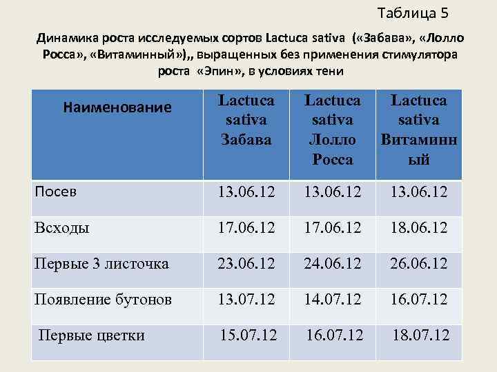 Таблица 5 Динамика роста исследуемых сортов Lactuca sativa ( «Забава» , «Лолло Росса» ,