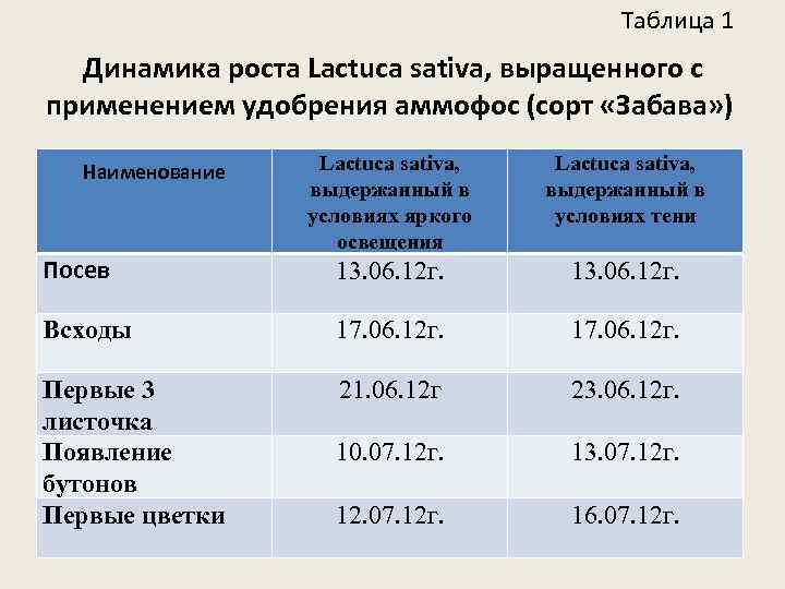 Таблица 1 Динамика роста Lactuca sativa, выращенного с применением удобрения аммофос (сорт «Забава» )