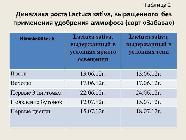 Таблица 2 Динамика роста Lactuca sativa, выращенного без применения удобрения аммофоса (сорт «Забава» )