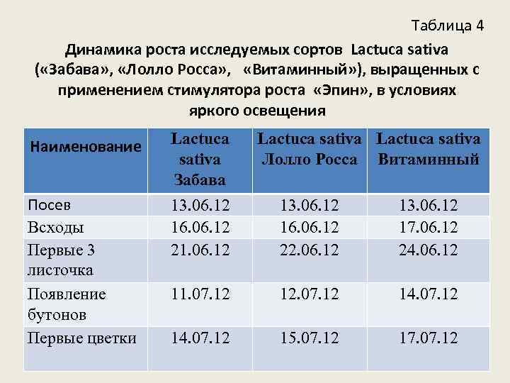 Таблица 4 Динамика роста исследуемых сортов Lactuca sativa ( «Забава» , «Лолло Росса» ,