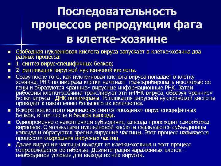 Последовательность процессов репродукции фага в клетке-хозяине n n n n Свободная нуклеиновая кислота вируса