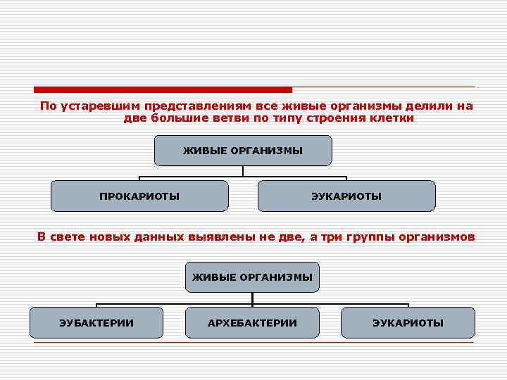 Организмы делятся на