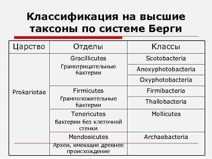 К какому таксону относятся раковые шейки