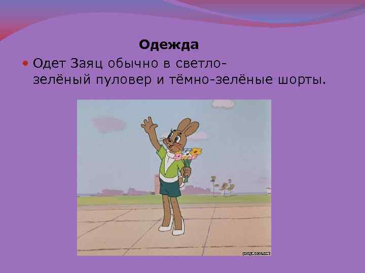  Одежда Одет Заяц обычно в светлозелёный пуловер и тёмно-зелёные шорты. 