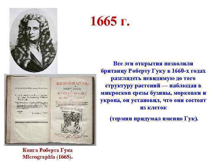 1665 г. Все эти открытия позволили британцу Роберту Гуку в 1660 -х годах разглядеть