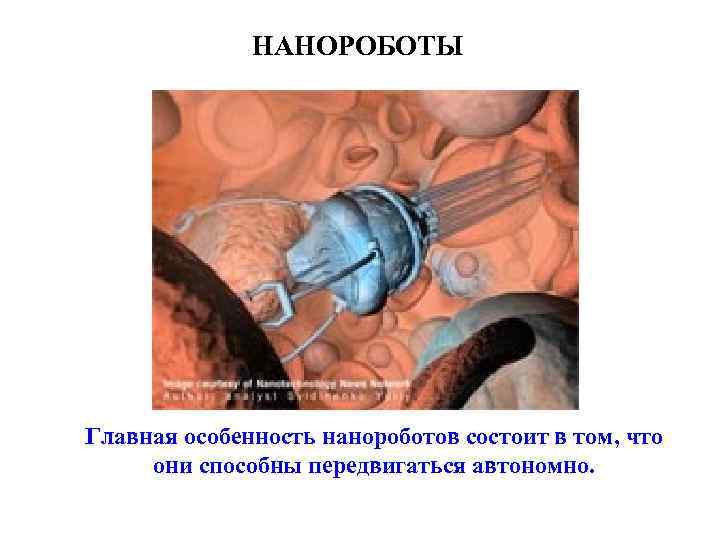 НАНОРОБОТЫ Главная особенность нанороботов состоит в том, что они способны передвигаться автономно. 