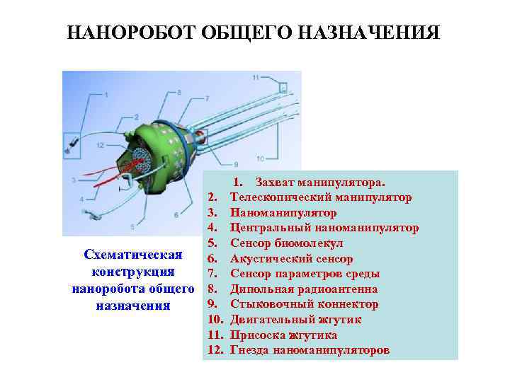 НАНОРОБОТ ОБЩЕГО НАЗНАЧЕНИЯ Схематическая конструкция наноробота общего назначения 2. 3. 4. 5. 6. 7.