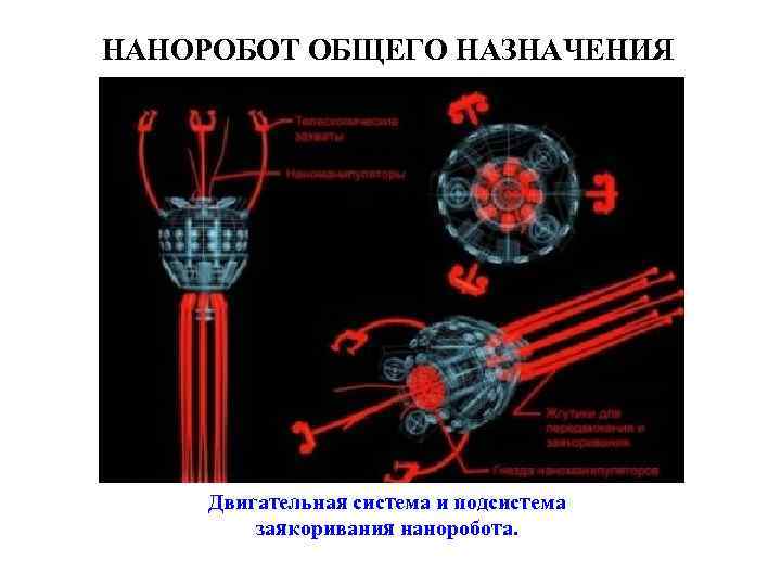 НАНОРОБОТ ОБЩЕГО НАЗНАЧЕНИЯ Двигательная система и подсистема заякоривания наноробота. 